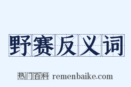 野赛反义词是什么意思的图片